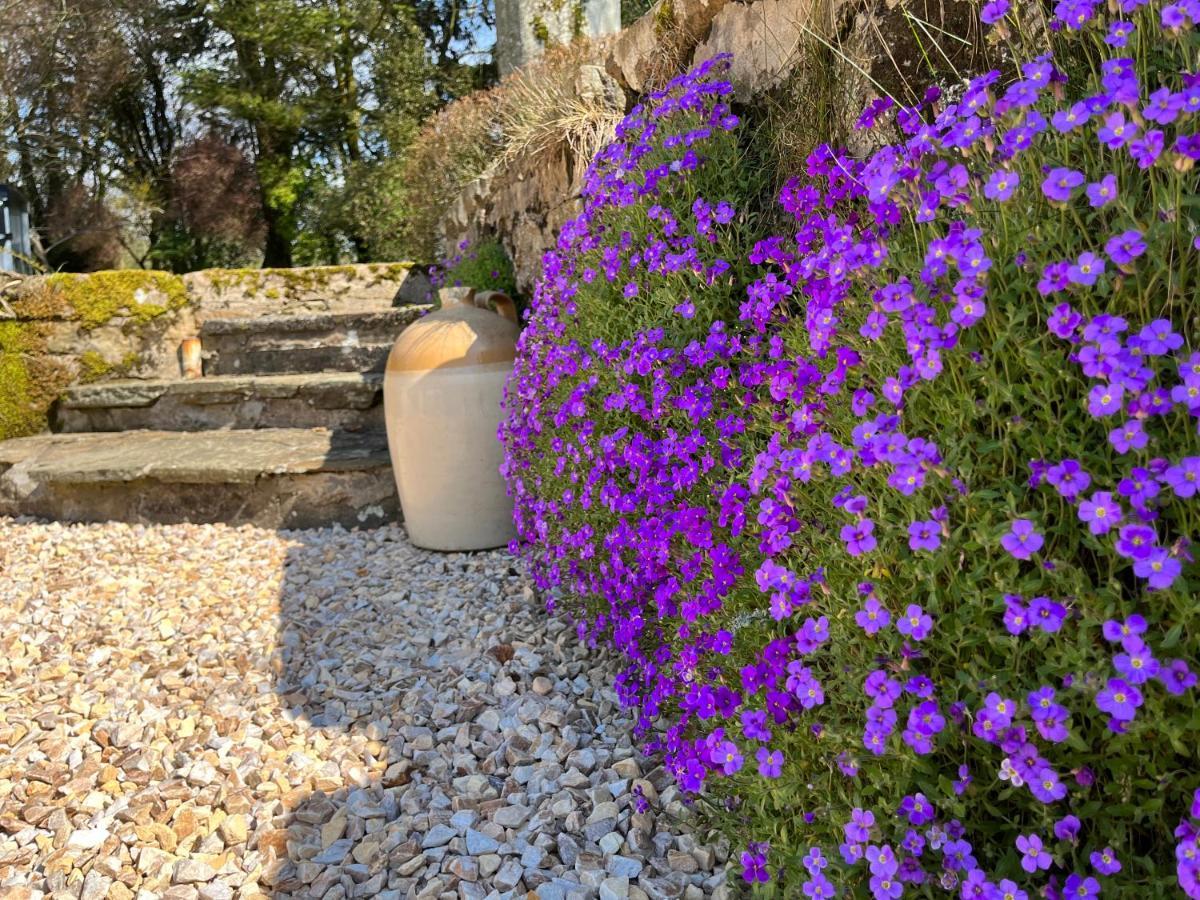 South Craighall B&B Eaglesham Extérieur photo
